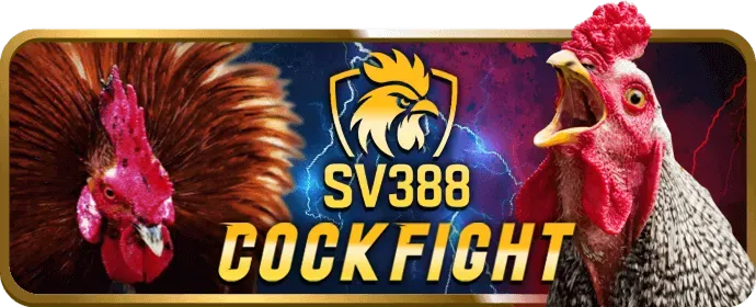 Đội ngũ hỗ trợ khách hàng 8888bet 24/7